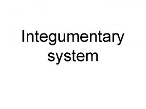 Integumentary system Organization Skin Epidermis Dermis Accessory Structures