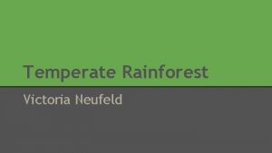 Temperate Rainforest Victoria Neufeld Location of Temperate Rainforests