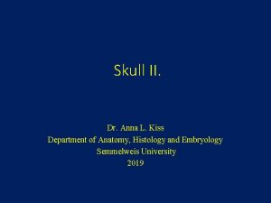 Skull II Dr Anna L Kiss Department of