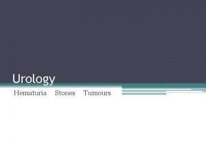 Urology Hematuria Stones Tumours Outline Hematuria DDx General