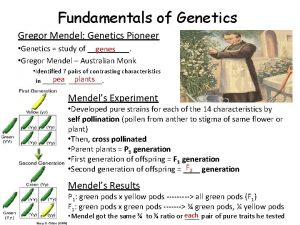 Fundamentals of Genetics Gregor Mendel Genetics Pioneer Genetics