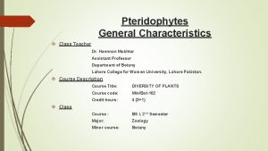 Pteridophytes General Characteristics Class Teacher Dr Hannnan Mukhtar