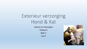 Exterieur verzorging Hond Kat Voeren en Verzorgen Niveau