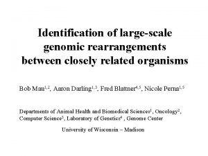 Identification of largescale genomic rearrangements between closely related