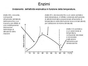 Enzimi Andamento dellattivit enzimatica in funzione della temperatura