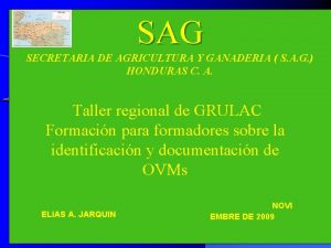 SAG SECRETARIA DE AGRICULTURA Y GANADERIA S A