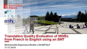 Translation Quality Evaluation of MWEs from French to