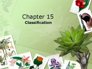 Chapter 15 Classification History of Taxonomy Taxonomy The