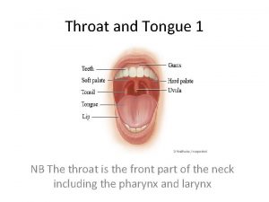 Throat and Tongue 1 NB The throat is