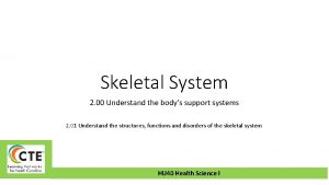Skeletal System 2 00 Understand the bodys support