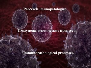 Procesele imunopatologice Immunopathological processes Tema Procesele imunopatologice Micropreparate