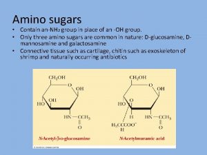 Amino sugars Contain anNH 2 group in place