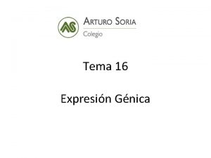 Tema 16 Expresin Gnica 1 EXPRESIN GNICA En