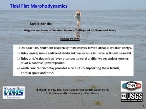 Tidal Flat Morphodynamics Carl Friedrichs Virginia Institute of