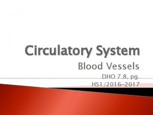 Circulatory System Blood Vessels DHO 7 8 pg