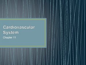 Cardiovascular System Chapter 11 Conduction System Intrinsic conduction