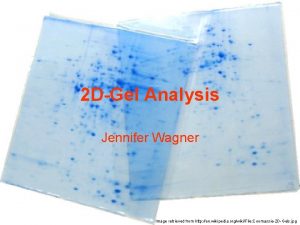 2 DGel Analysis Jennifer Wagner Image retrieved from