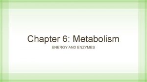 Chapter 6 Metabolism ENERGY AND ENZYMES Cellular Metabolism