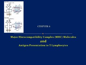 CHAPTER 6 Major Histocompatibility Complex MHC Molecules and