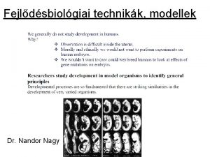 Fejldsbiolgiai technikk modellek Dr Nandor Nagy Developmental model