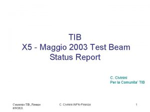 TIB X 5 Maggio 2003 Test Beam Status