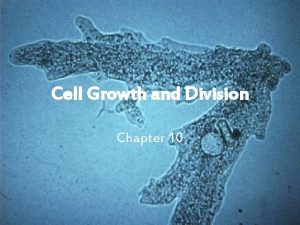 Cell Growth and Division Chapter 10 Cell Growth