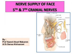 NERVE SUPPLY OF FACE 5 TH 7 TH