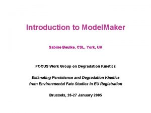 Introduction to Model Maker Sabine Beulke CSL York