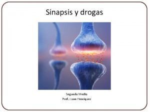 Sinapsis y drogas Segundo Medio Prof Juan Henrquez