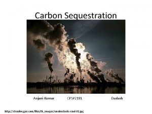 Carbon Sequestration Anjani Kumar CPSP 218 L http