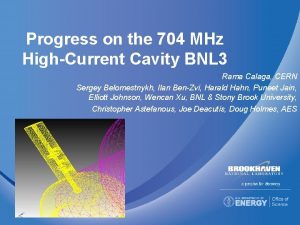 Progress on the 704 MHz HighCurrent Cavity BNL