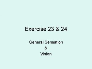 Exercise 23 24 General Sensation Vision Sensory Receptors