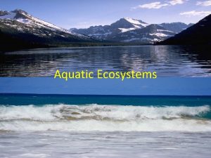 Aquatic Ecosystems Aquatic Ecosystems Freshwater Ponds Lakes Streams