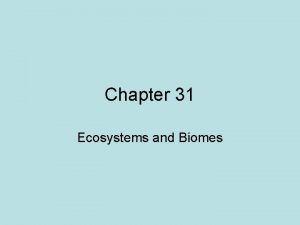 Chapter 31 Ecosystems and Biomes 31 1 Ecosystems