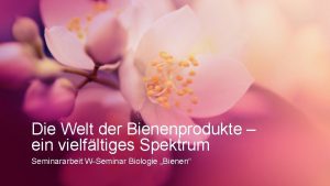 Die Welt der Bienenprodukte ein vielfltiges Spektrum Seminararbeit