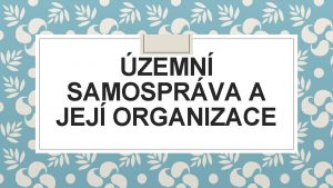 ZEMN SAMOSPRVA A JEJ ORGANIZACE Opakovn organiz principy