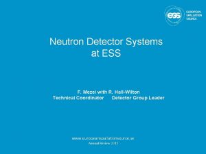 Neutron Detector Systems at ESS F Mezei with