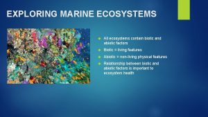 Biotic and abiotic components of marine ecosystem