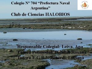 Colegio N 704 Prefectura Naval Argentina Club de