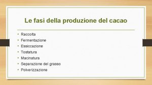 Le fasi della produzione del cacao Raccolta Fermentazione