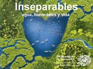 Inseparables agua humedales y vida 1 Humedales Qu