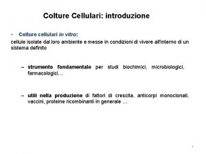 Colture Cellulari introduzione Colture cellulari in vitro cellule