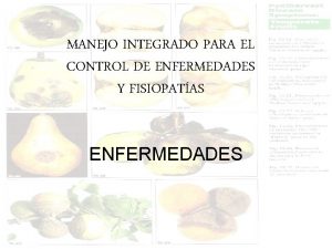 MANEJO INTEGRADO PARA EL CONTROL DE ENFERMEDADES Y