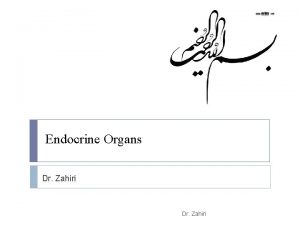 Endocrine Organs Dr Zahiri The endocrine system includes