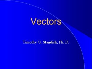 Vectors Timothy G Standish Ph D Vectors If