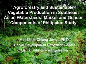 Agroforestry and Sustainable Vegetable Production in Southeast Asian