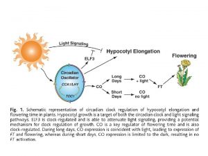 Nature 426 567 570 2003 Targeted degradation of