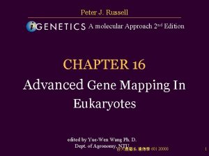 Peter J Russell A molecular Approach 2 nd