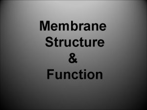 Membrane Structure Function Membrane Structure and Function A