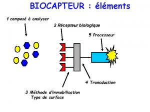 BIOCAPTEUR lments 1 compos analyser 2 Rcepteur biologique